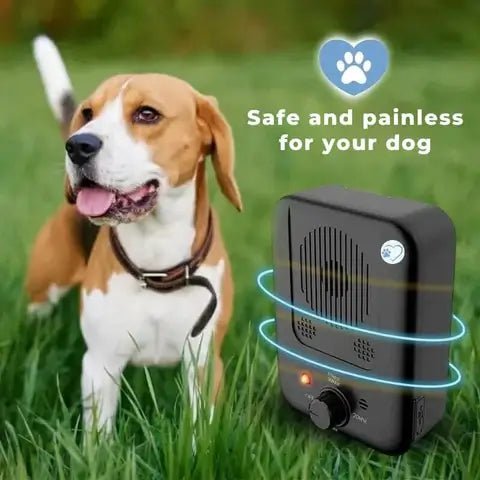 Harmonia | Sanftes Anti-Bell-Gerät für Hunde 5