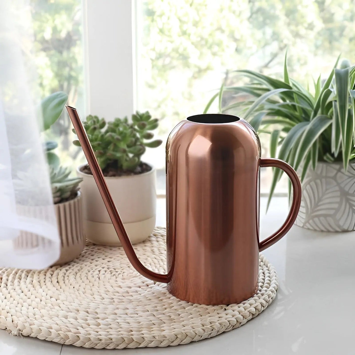 Zorenza | Elegante Edelstahl-Gießkanne für Zimmerpflanzen 6