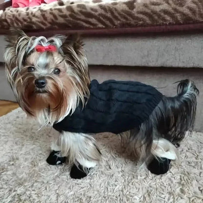 Pfotiva | Scarpette invernali impermeabili per cani con suola antiscivolo, set da 4
