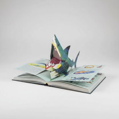 Rexilou | Libro pop-up 3D sui dinosauri con pagine robuste e illustrazioni