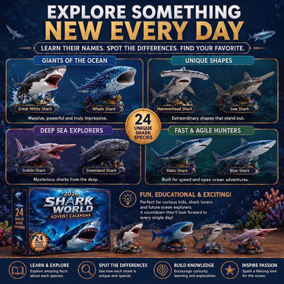 Haifina | 2026 Advent Calendar with 24 Collectible and Playable Shark Figures