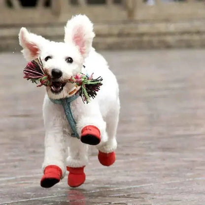 Pfotiva | Scarpette invernali impermeabili per cani con suola antiscivolo, set da 4
