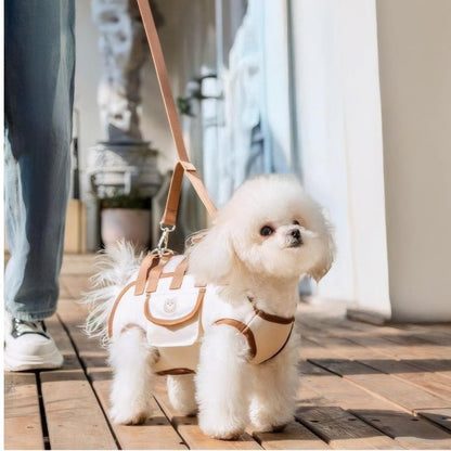 PawCarry | Dog Carrier Bag with Shoulder Strap, Breathable Mesh & Safety Leash
