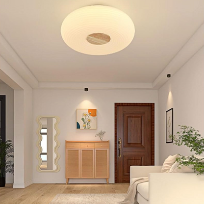 Tapion | Lampada da soffitto LED moderna dal design contemporaneo