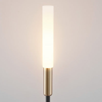 Set luci solari a canna di palude (6 pezzi) – Illuminazione da giardino LED impermeabile
