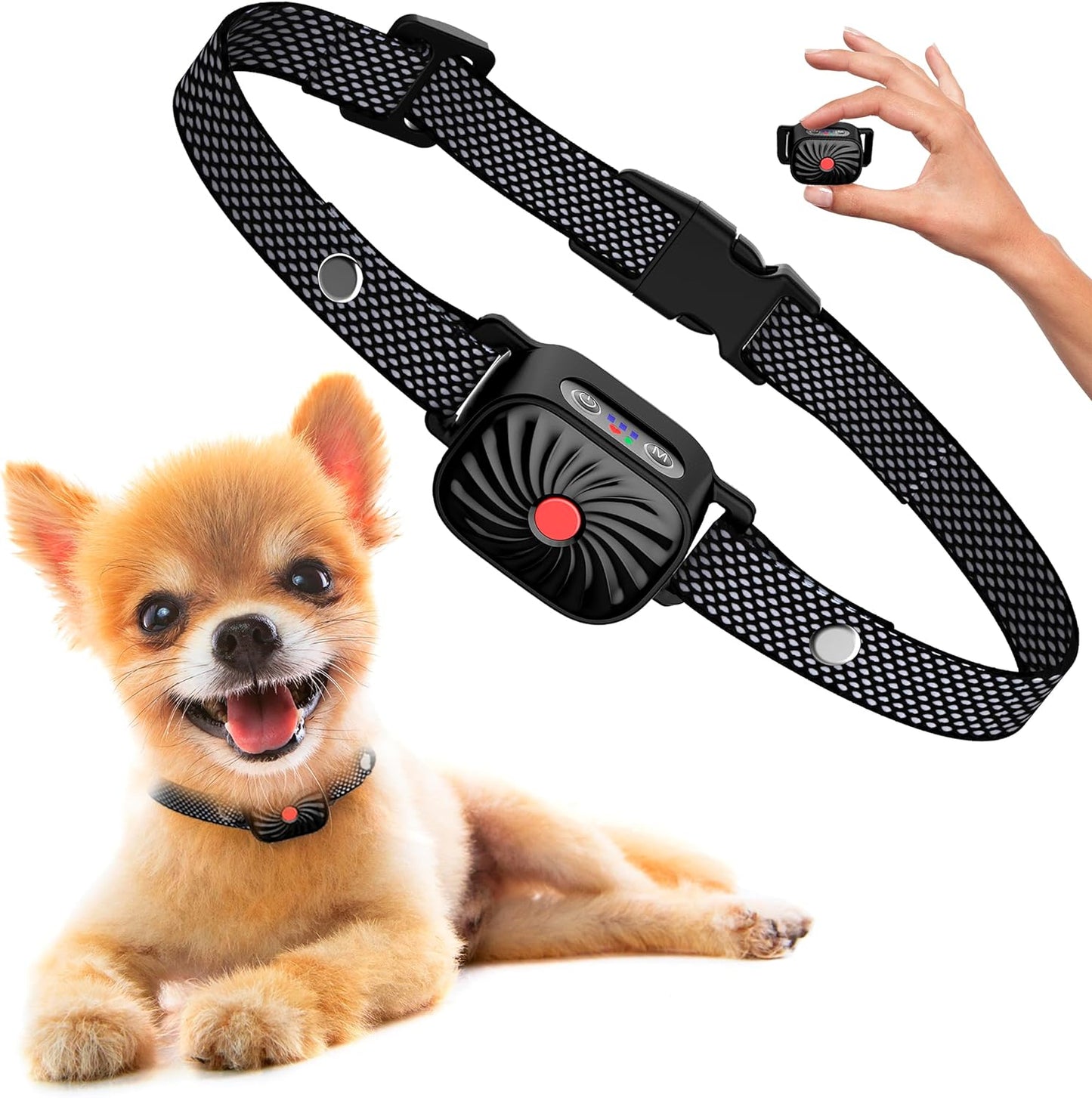 BelloSilent | Antibellhalsband für kleine Hunde 0