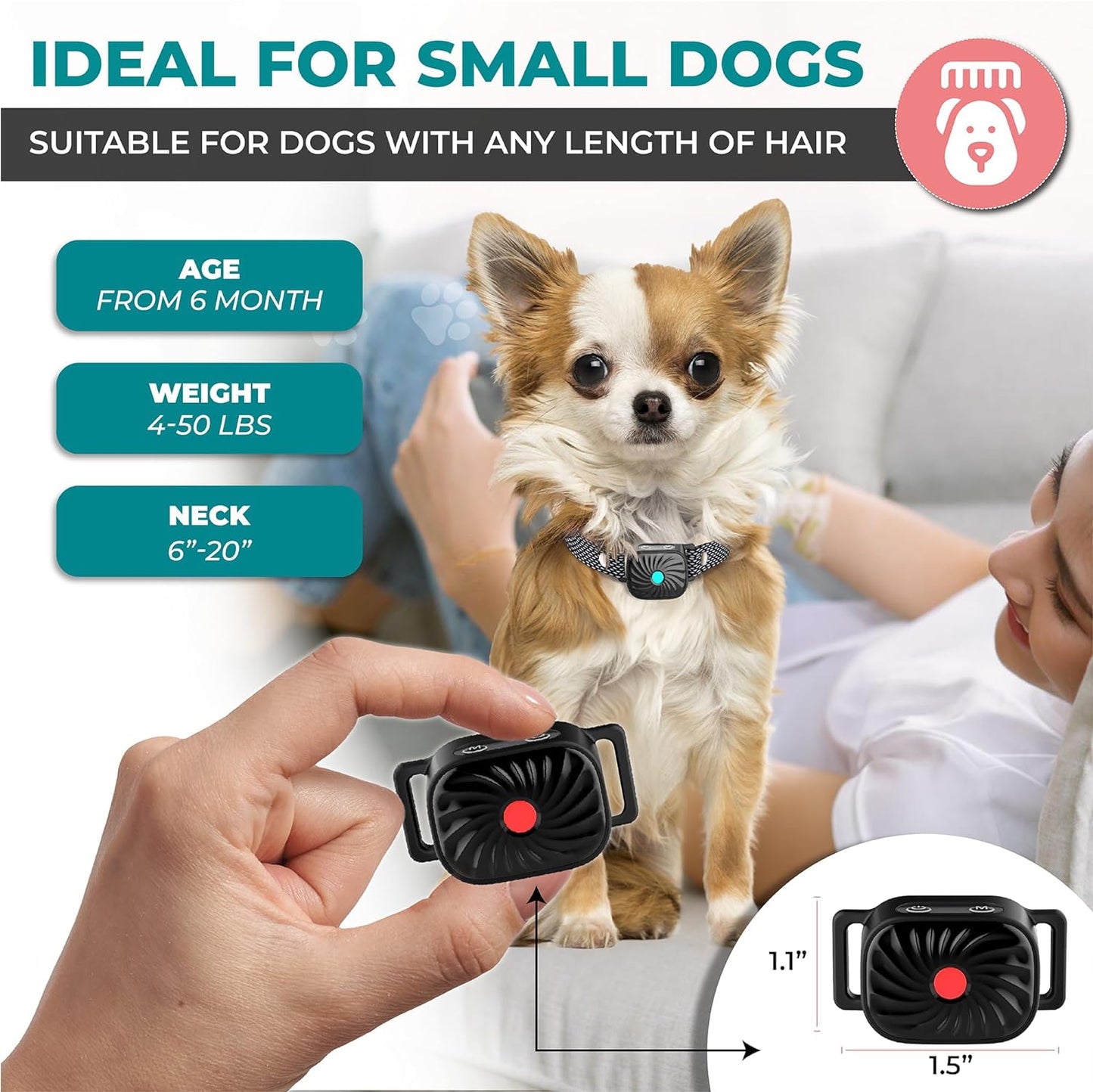 BelloSilent | Antibellhalsband für kleine Hunde 1