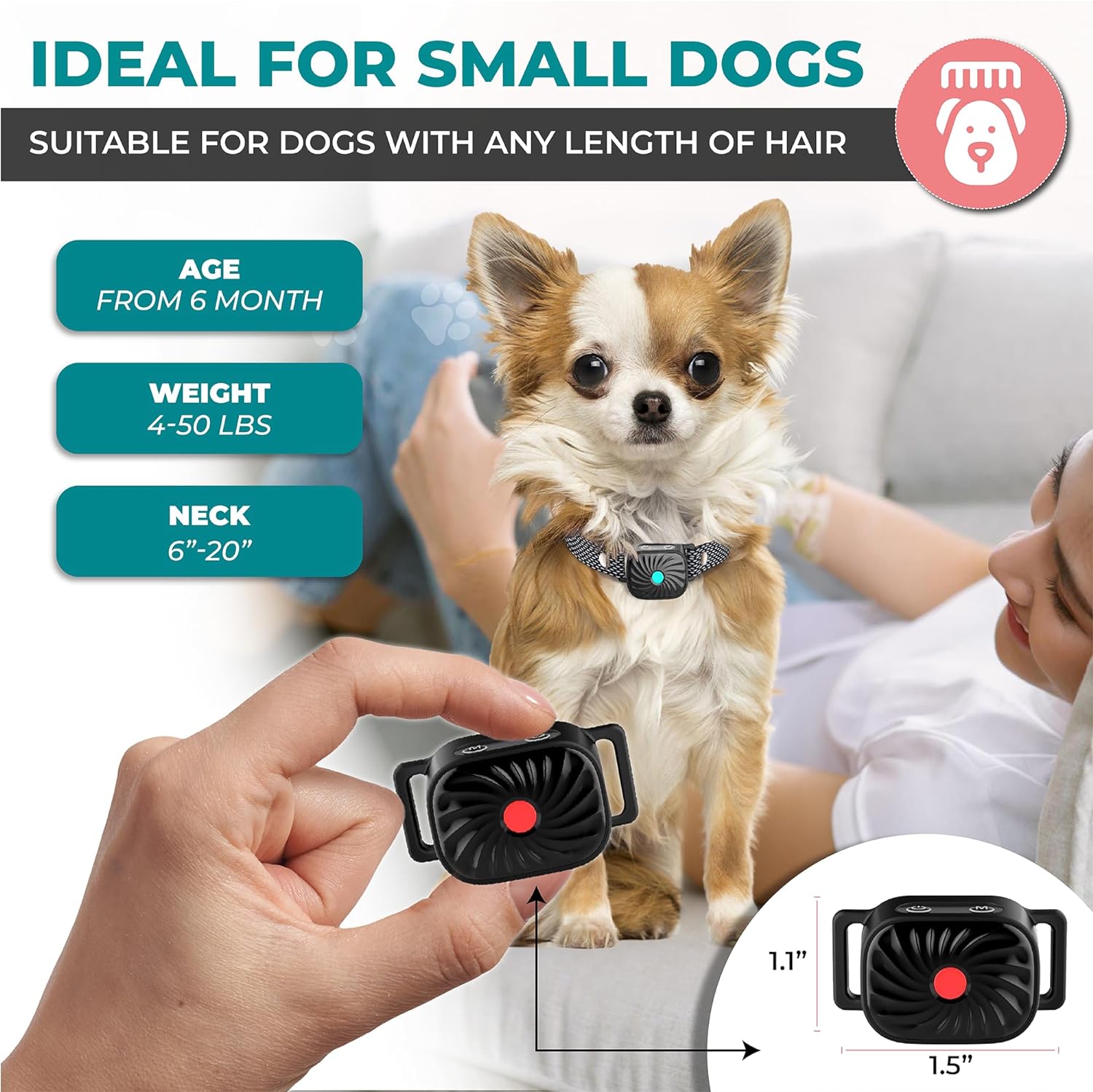 BelloSilent | Antibellhalsband für kleine Hunde 1