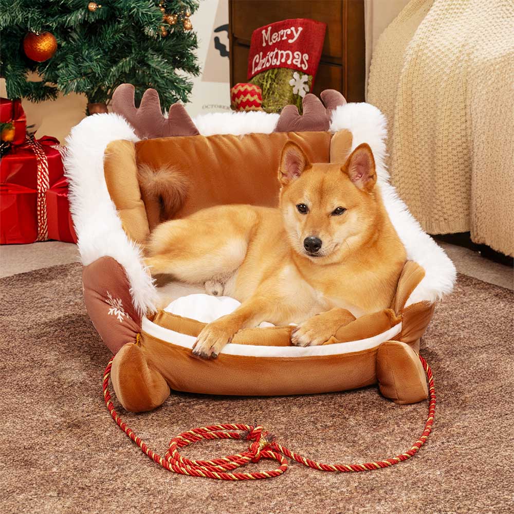 Noeltail | Hundebett im Schlittendesign aus Kristallsamt, rutschfest, S bis L