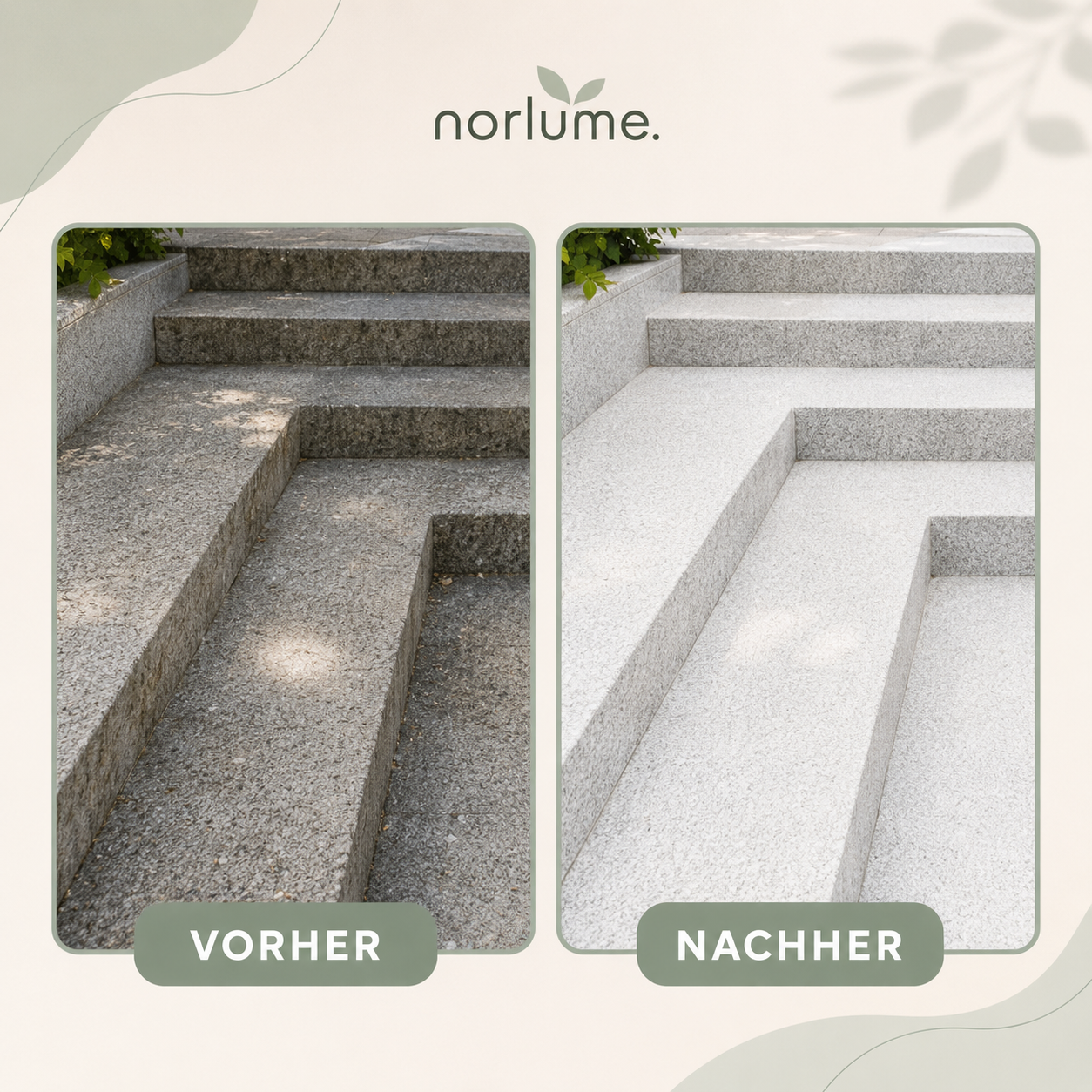 Steinreiniger Fleckenentferner für Naturstein Marmor Granit