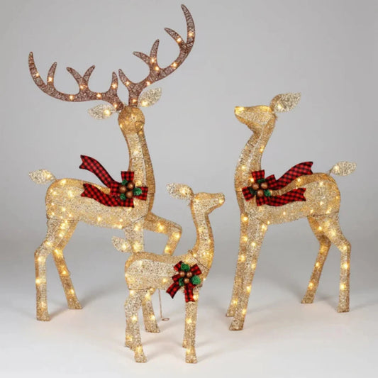 Hirsora | Décoration de Noël extérieure, famille de rennes LED, lot de 3