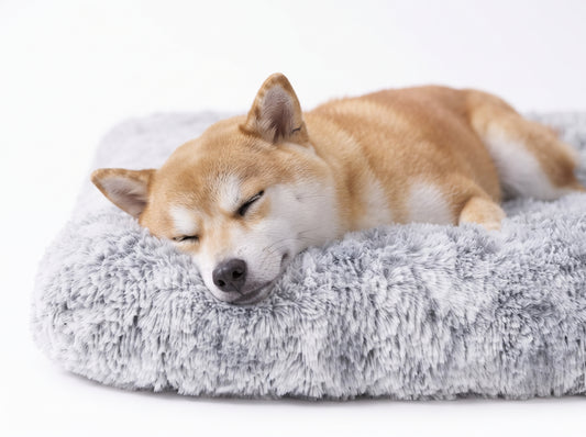 Panier pour chien en velours côtelé | Réversible | Housse lavable | Doux et confortable | 3 tailles