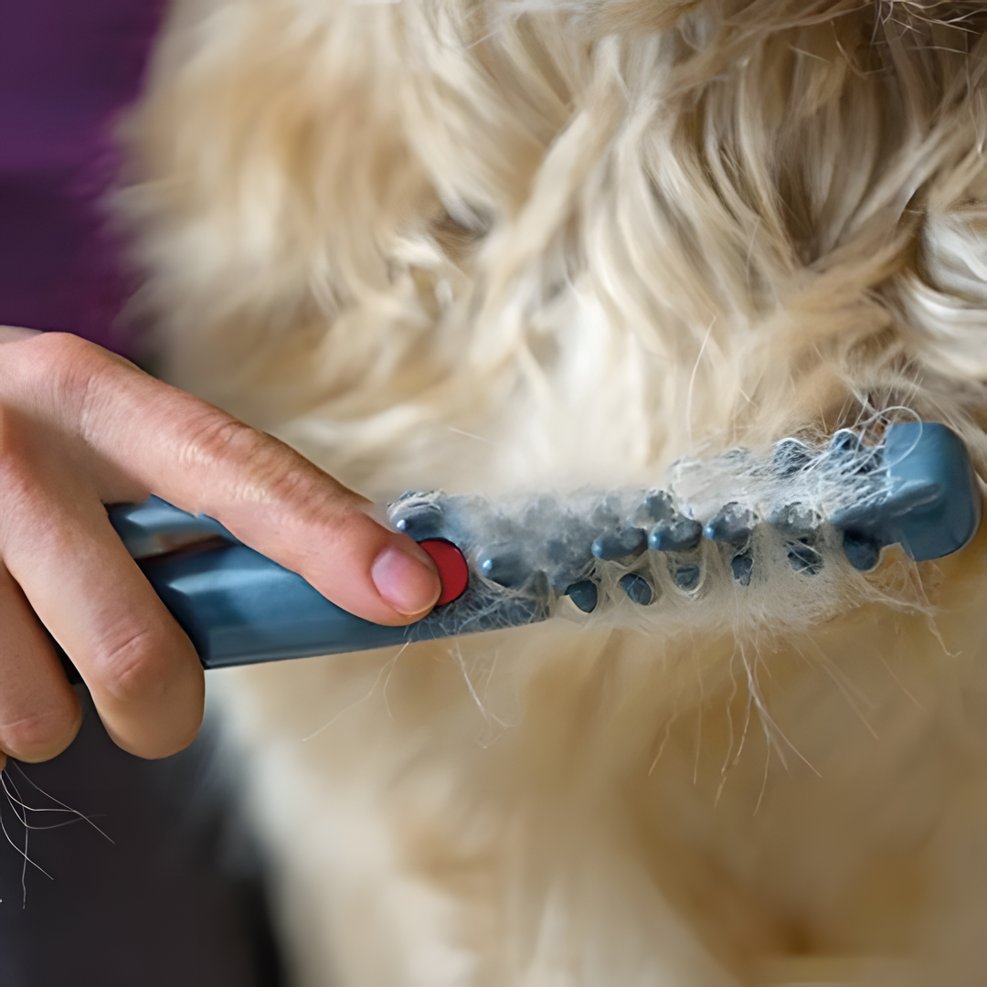 Fellona | Sanfter Haustier-Trimmer für stressfreie Fellpflege 2