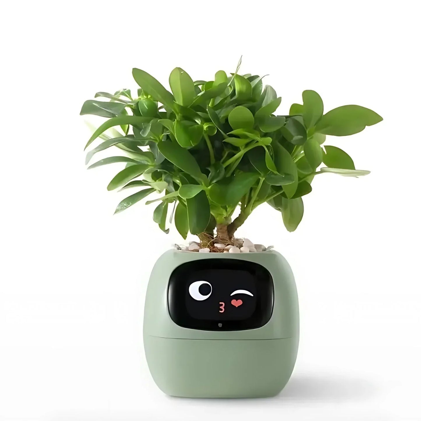 LumiPlant Smart | Pot de fleurs automatique avec système d’arrosage et lumière LED
