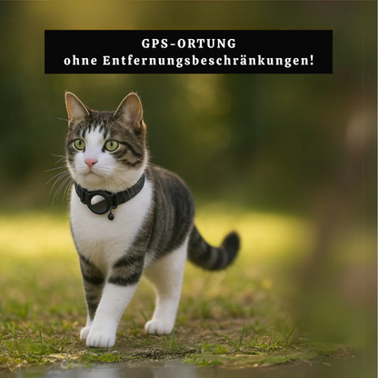 PawTrace | Collare con localizzatore GPS per cani e gatti, impermeabile IP67, riflettente
