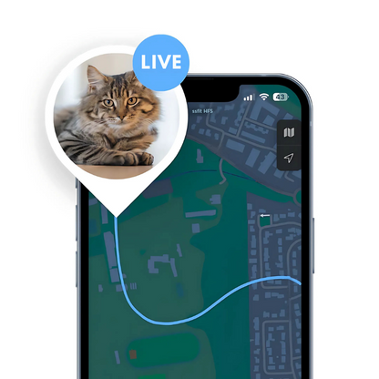 PawTrace | Collare con localizzatore GPS per cani e gatti, impermeabile IP67, riflettente