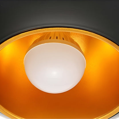 AppleGlow Lampada a sospensione – Artistica lampada a sospensione E27 in bianco e nero con design a sole