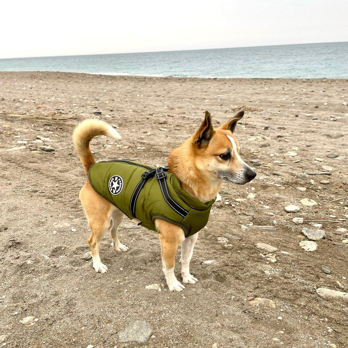 Mirora | Abrigo de invierno para perros con arnés integrado, repelente al agua