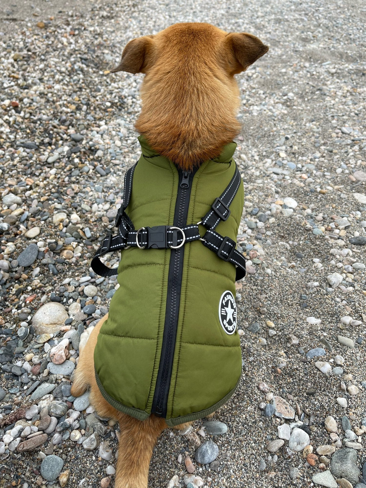 Mirora | Abrigo de invierno para perros con arnés integrado, repelente al agua