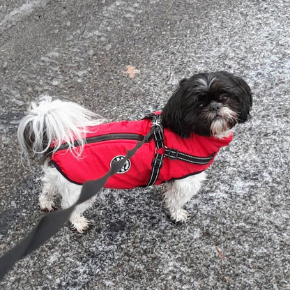 Mirora | Abrigo de invierno para perros con arnés integrado, repelente al agua