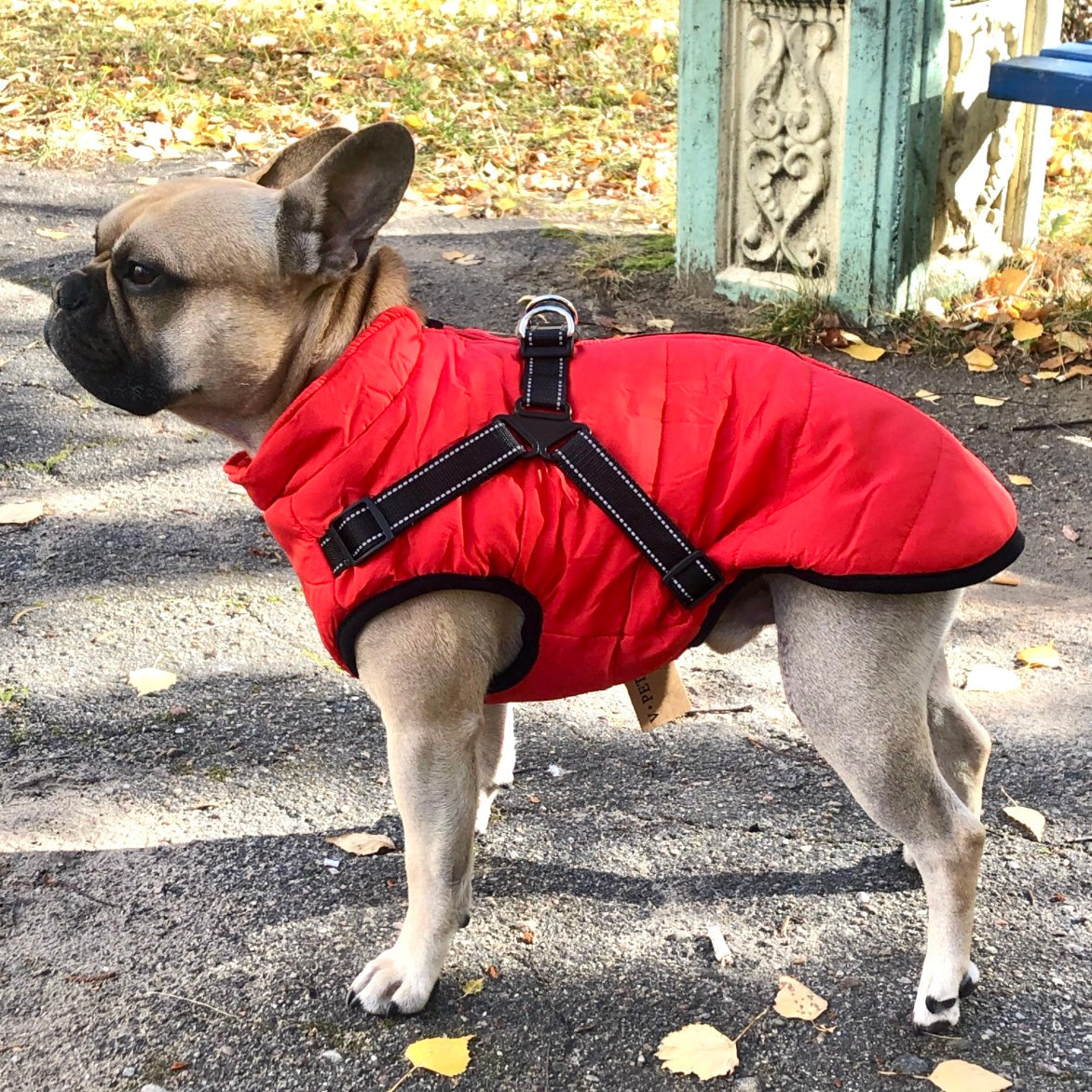 Mirora | Abrigo de invierno para perros con arnés integrado, repelente al agua