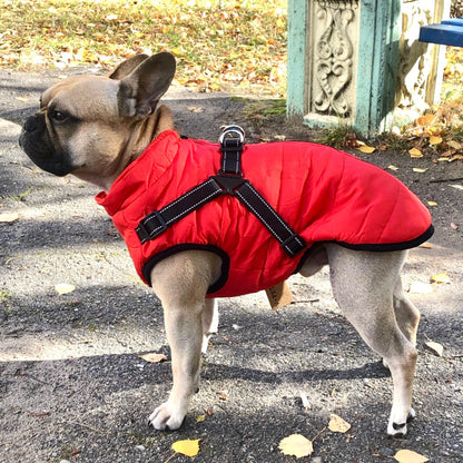 Mirora | Abrigo de invierno para perros con arnés integrado, repelente al agua