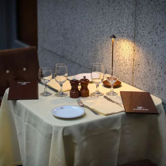 Fenlira | Kabellose LED Tischlampe mit Akku und Touch-Dimmer