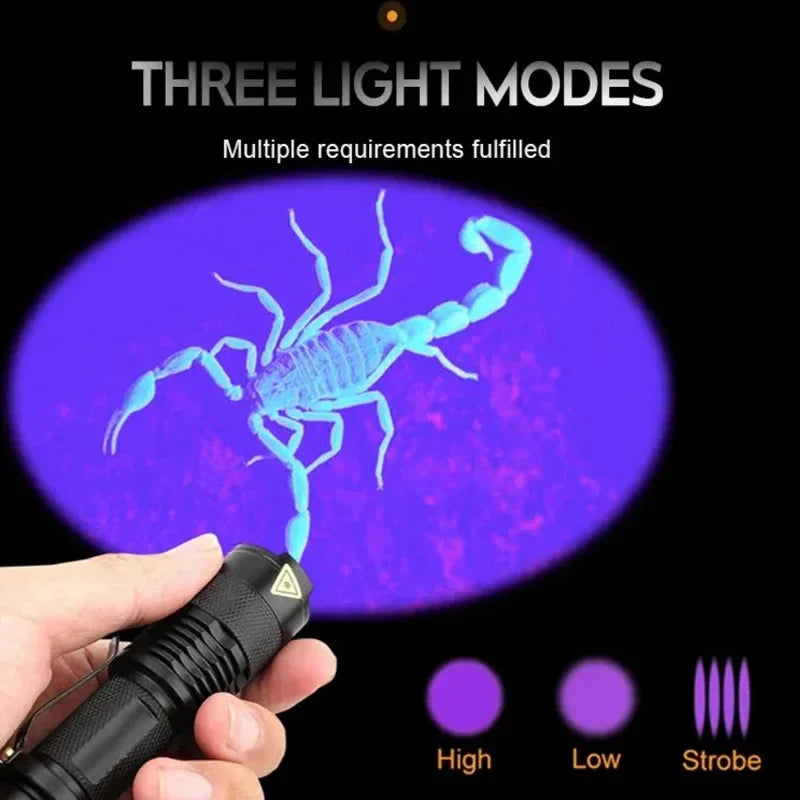 Luminex | Tragbare UV-Taschenlampe zur Fleckenerkennung 5