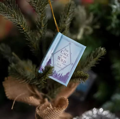 Bücher Adventskalender 2026