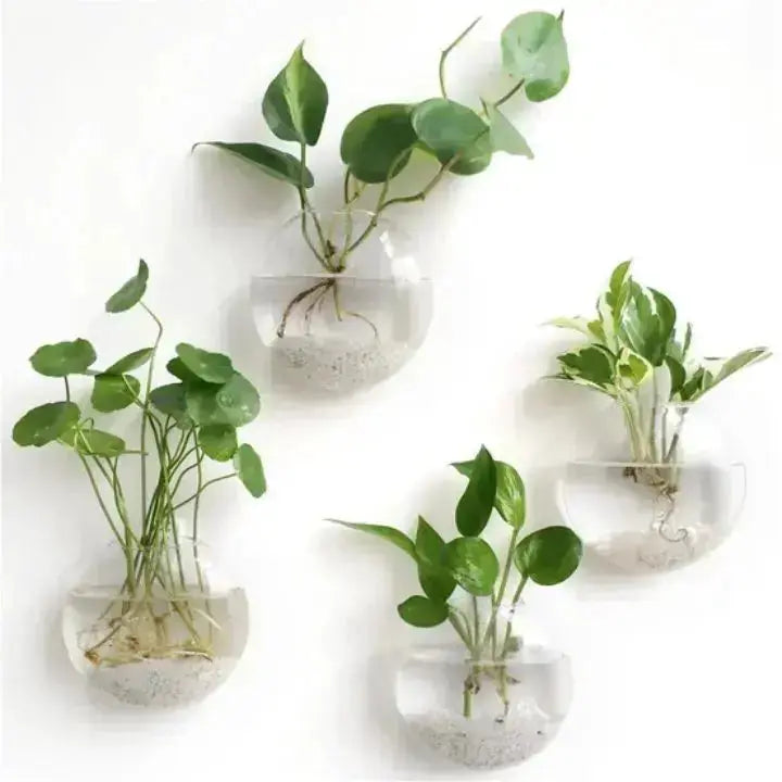 Mivoza | Elegante Glas-Wandvase für moderne Interieurs 0