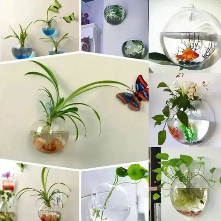 Mivoza | Elegante Glas-Wandvase für moderne Interieurs 5