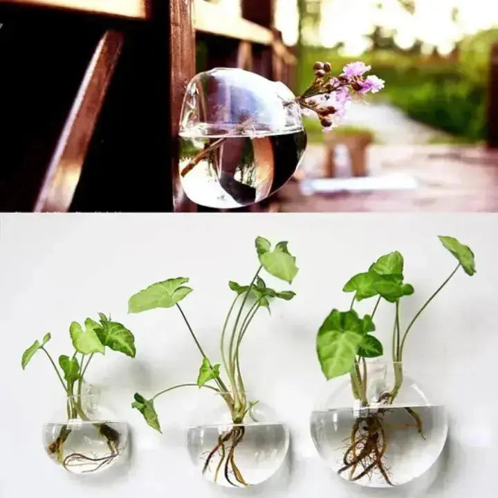 Mivoza | Elegante Glas-Wandvase für moderne Interieurs 6