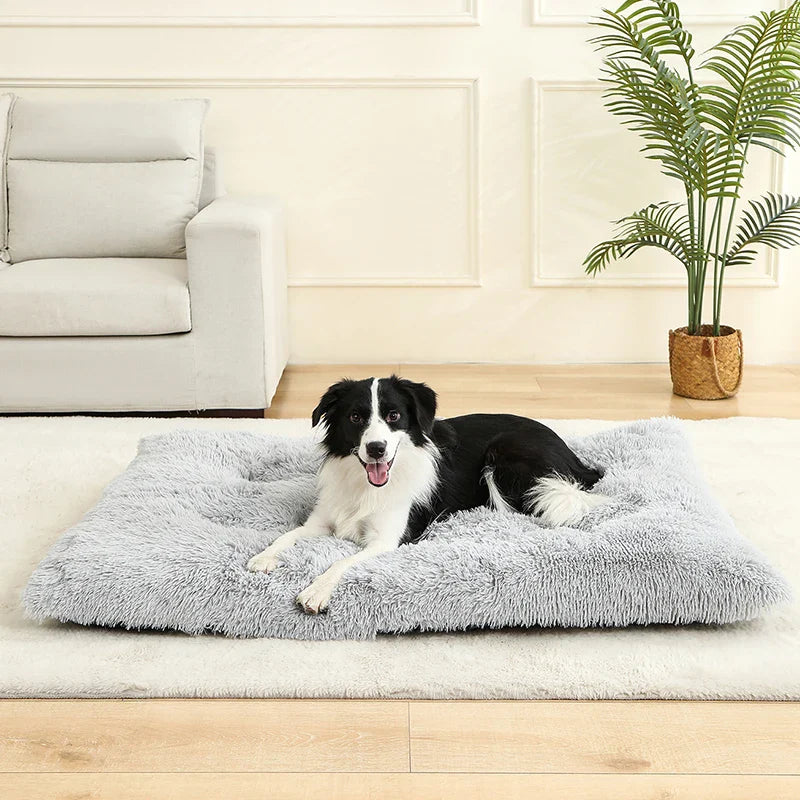Fluffy Rectangular Dog Bed | Extra Soft Plush | 100% Cotton | 3 Colors | 4 Sizes