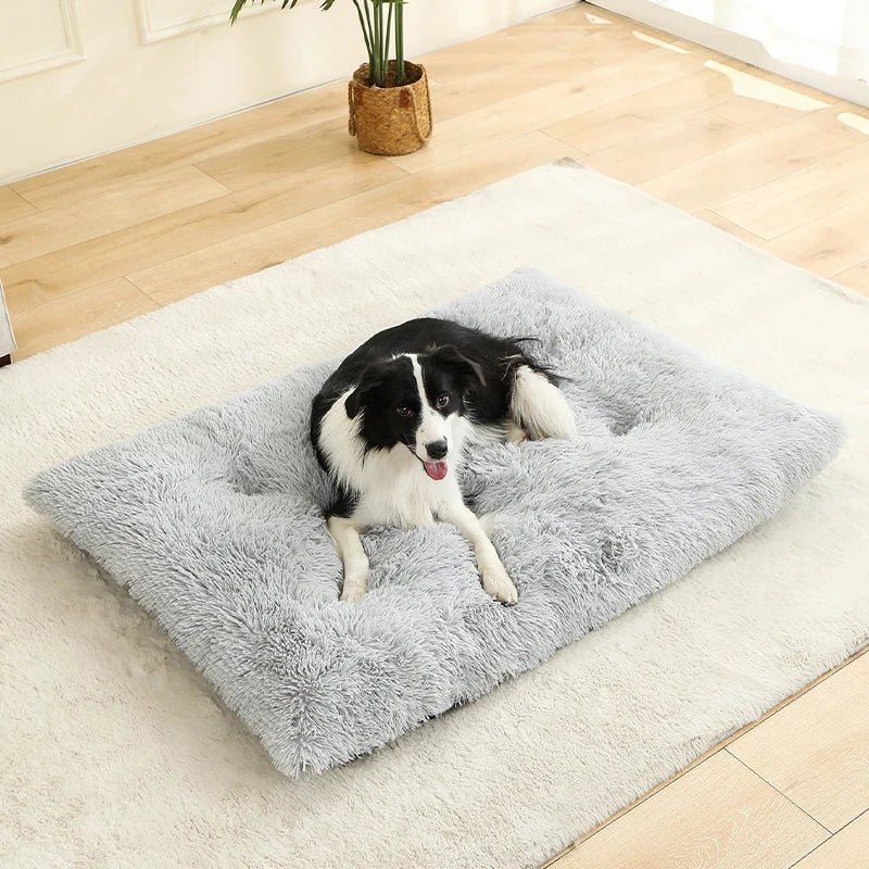 Fluffy Rectangular Dog Bed | Extra Soft Plush | 100% Cotton | 3 Colors | 4 Sizes