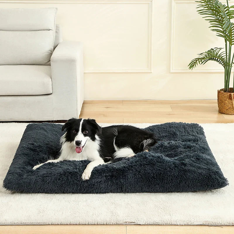 Fluffy Rectangular Dog Bed | Extra Soft Plush | 100% Cotton | 3 Colors | 4 Sizes