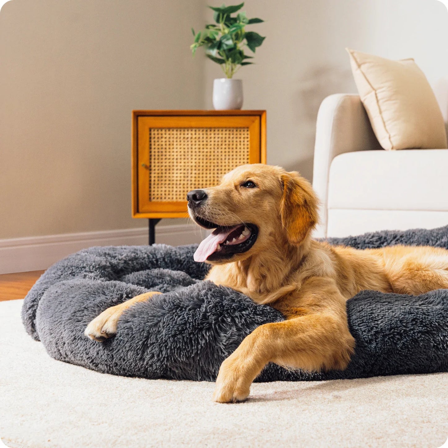 Lit pour chien Pawz Road Fluffy | Coussin de protection pour canapé | Modulaire & lavable | Antidérapant | Pour chiens de toutes tailles