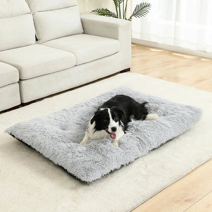 Fluffy Rectangular Dog Bed | Extra Soft Plush | 100% Cotton | 3 Colors | 4 Sizes
