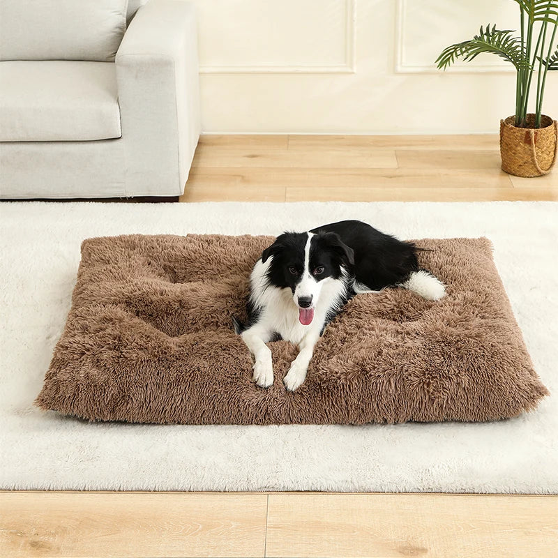 Fluffy Rectangular Dog Bed | Extra Soft Plush | 100% Cotton | 3 Colors | 4 Sizes