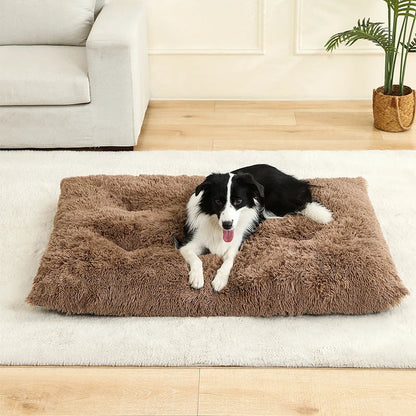 Fluffy Rectangular Dog Bed | Extra Soft Plush | 100% Cotton | 3 Colors | 4 Sizes