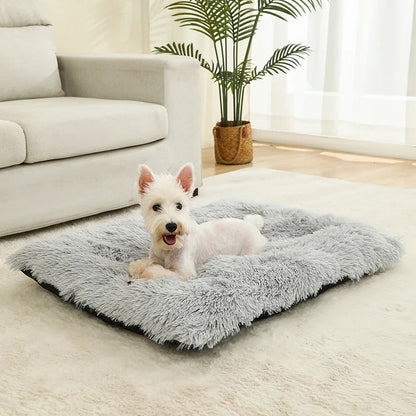 Fluffy Rectangular Dog Bed | Extra Soft Plush | 100% Cotton | 3 Colors | 4 Sizes