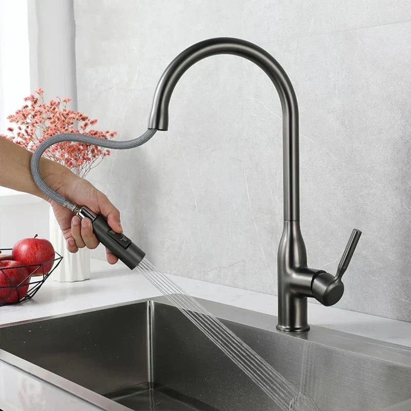 Aqualis – Moderner Ausziehbarer Küchenhahn mit Einziehbarer Handbrause