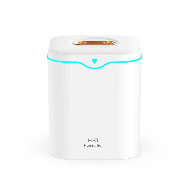 Umidificatore ad ultrasuoni 2L con doppio spray & luce notturna – Umidificatore d’aria 2000ml