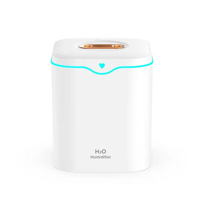 Umidificatore ad ultrasuoni 2L con doppio spray & luce notturna – Umidificatore d’aria 2000ml