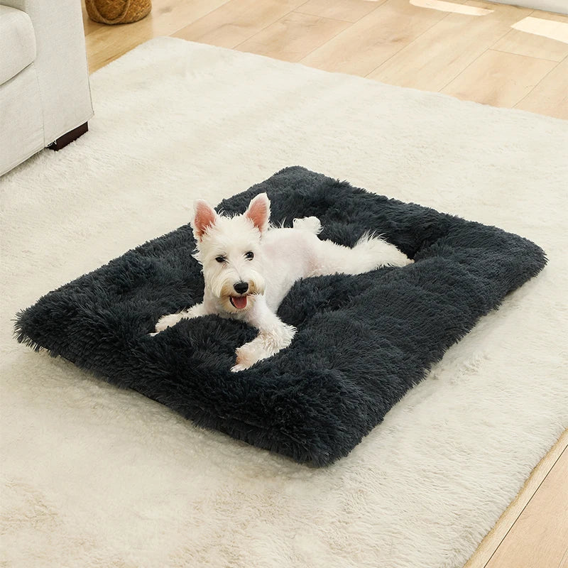 Fluffy Rectangular Dog Bed | Extra Soft Plush | 100% Cotton | 3 Colors | 4 Sizes