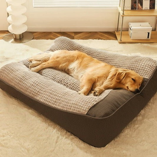 Wauvina | Orthopädisches Hundebett mit Rand, kratzfest, für große Hunde XL–3XL