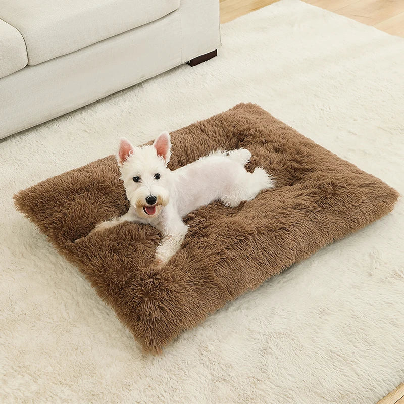 Fluffy Rectangular Dog Bed | Extra Soft Plush | 100% Cotton | 3 Colors | 4 Sizes