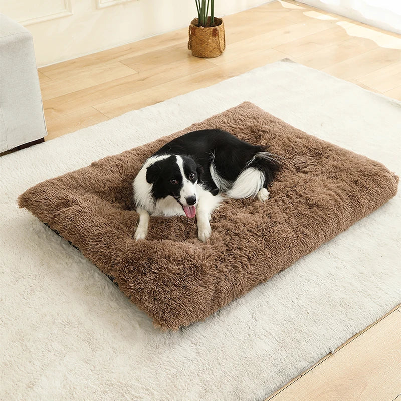 Fluffy Rectangular Dog Bed | Extra Soft Plush | 100% Cotton | 3 Colors | 4 Sizes