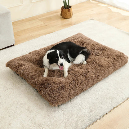 Fluffy Rectangular Dog Bed | Extra Soft Plush | 100% Cotton | 3 Colors | 4 Sizes