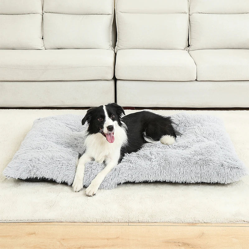 Fluffy Rectangular Dog Bed | Extra Soft Plush | 100% Cotton | 3 Colors | 4 Sizes