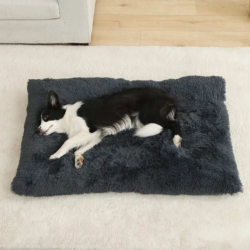 Fluffy Rectangular Dog Bed | Extra Soft Plush | 100% Cotton | 3 Colors | 4 Sizes